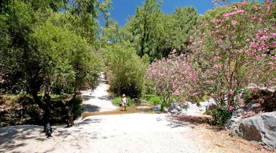 Finca El Almendro Árchez Buitenkant foto